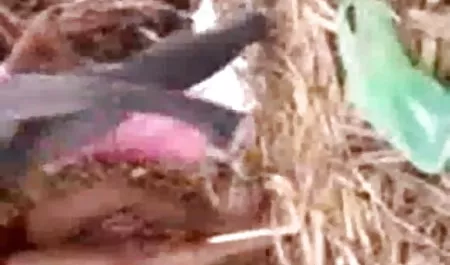 मेरा सेक्सी फिल्म भेजो सेक्सी फिल्म प्यार.