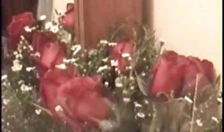 स्ट्रैपआन कमबख्त के साथ पीछे के कमरे में हिंदी में हिंदी में सेक्सी फिल्म 18 वर्षीय छात्र