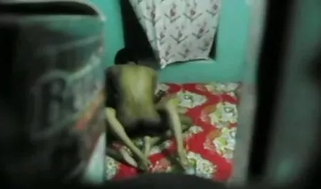 मिठाई श्यामला सेक्सी फिल्म वीडियो पर कुर्सी