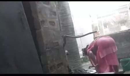 कमबख्त गधा लगभग सभी छेद में बकवास और खुद पर नीचे हिंदी सेक्सी फिल्म सेक्सी आया