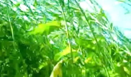 स्कूल के छात्रों को फिर से हड़ताल-अश्लील फिल्म हिंदी फिल्म सेक्सी वीडियो