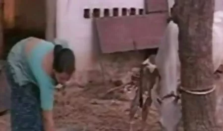 अश्लील सेक्सी मूवी वीडियो में सेक्सी वीडियो