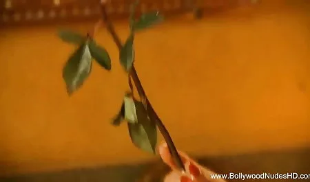 बहनों गुदा सेक्सी पिक्चर वीडियो में बीपी कनेक्शन कमबख्त में