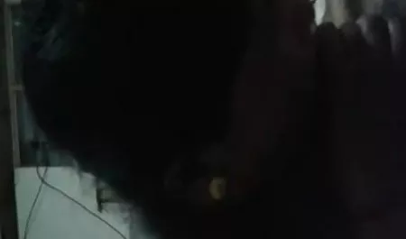 माँ की ओर करने के लिए अपने मुर्गा के लिए इंतजार कर रहा है, सेक्स सेक्स वीडियो पिक्चर जबकि दादी